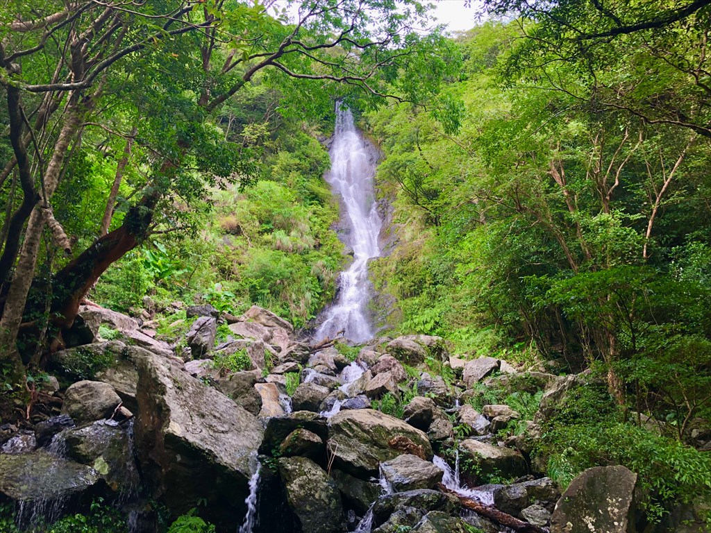奄美大島　原生林　フナンギョの滝